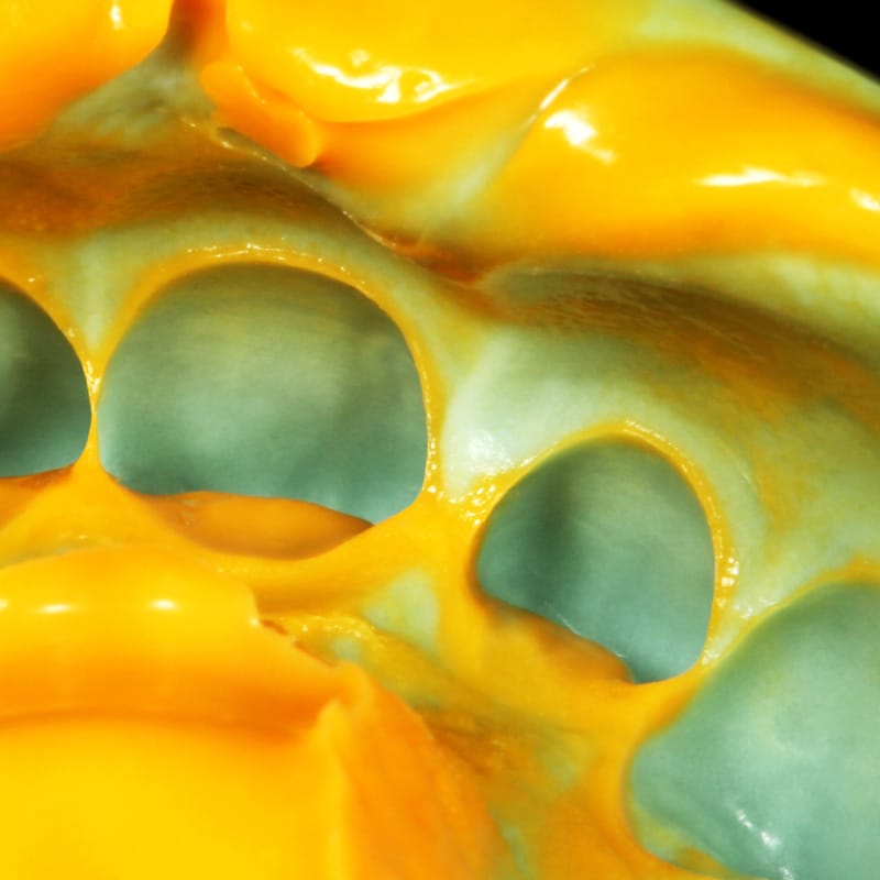 Zhermack Zeta Plus Kit ,Putty +LB +Indurent Gel + Mixing Pad - Image 3