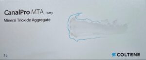 Canal Pro MTA  Putty   2gm Syringe Pack