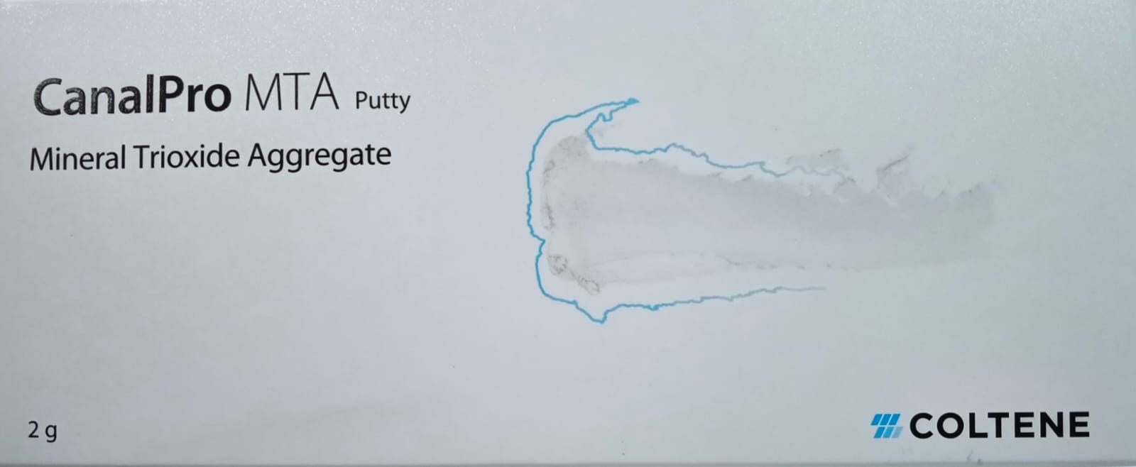 Canal Pro MTA Putty 2gm Syringe Pack